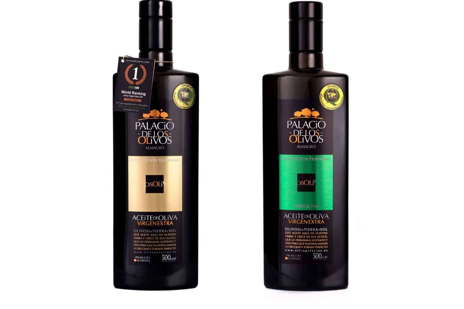 10 consejos que cambiarán la forma de conservar y disfrutar el aceite de oliva virgen extra