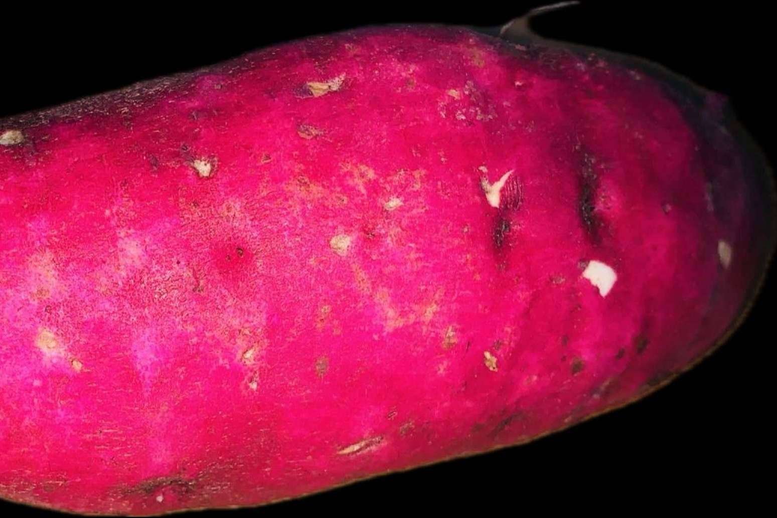 El modelo de compra de frutas y verduras frescas cambia con Mercado La Terminal Online