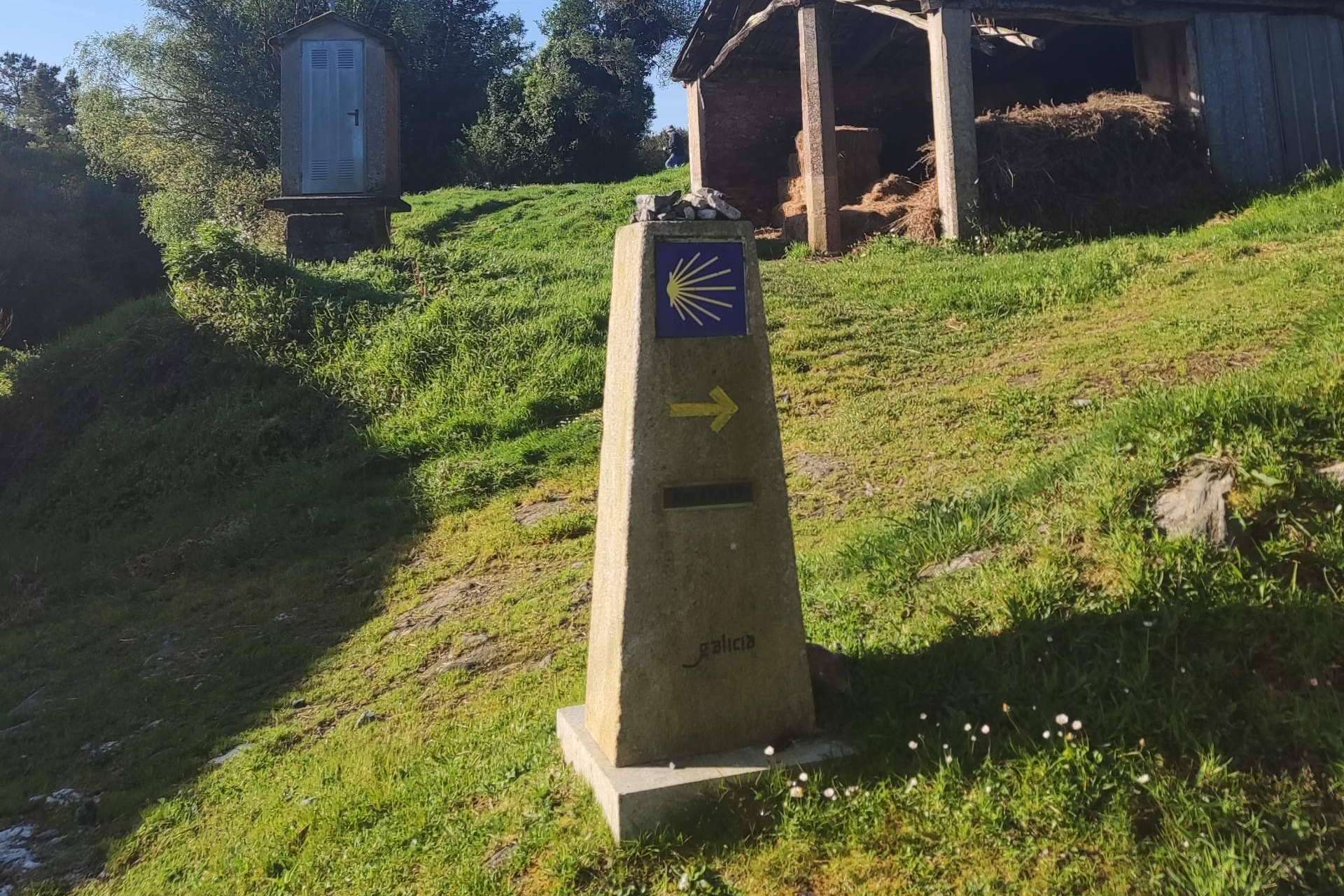 Camino de Santiago en grupo Organizado