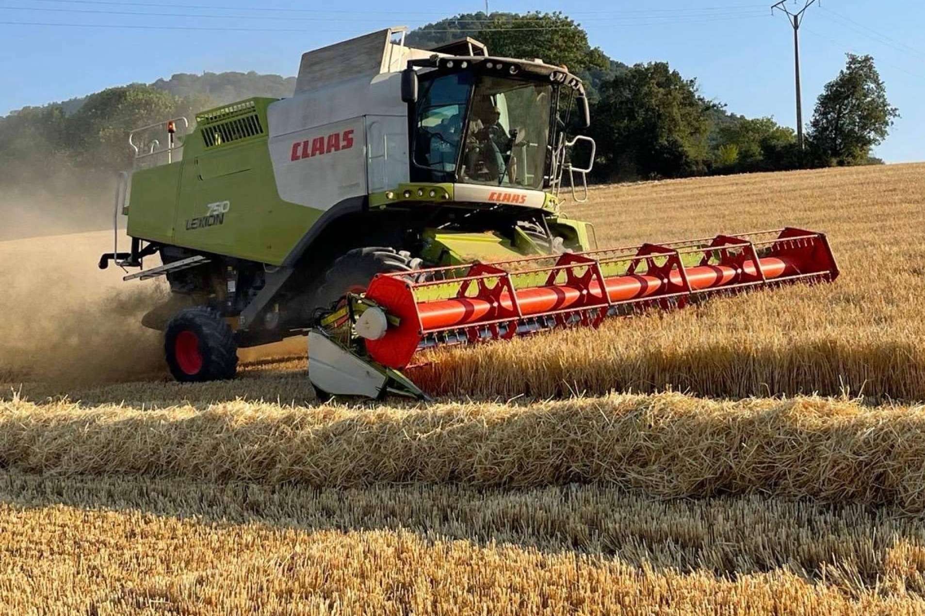 Arranca la cosecha de cebada alavesa 2025