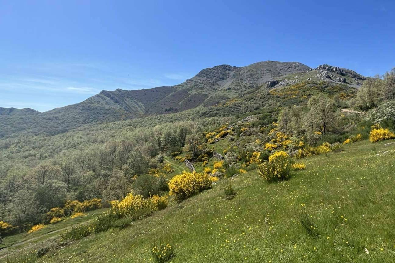 Retiros de yoga en la montaña leonesa; alojamiento, meditación y cocina vegetariana con Yoga Te Transforma