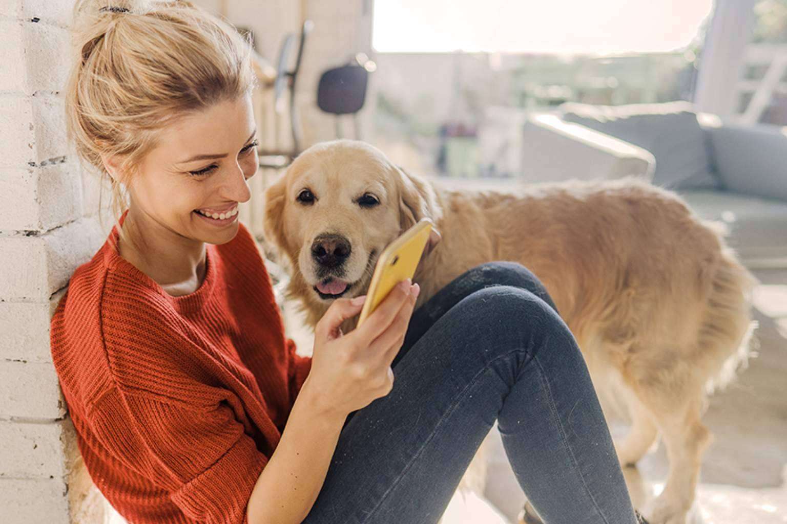 Línea Directa cuida de cada perro o gato como si fuera su propio dueño