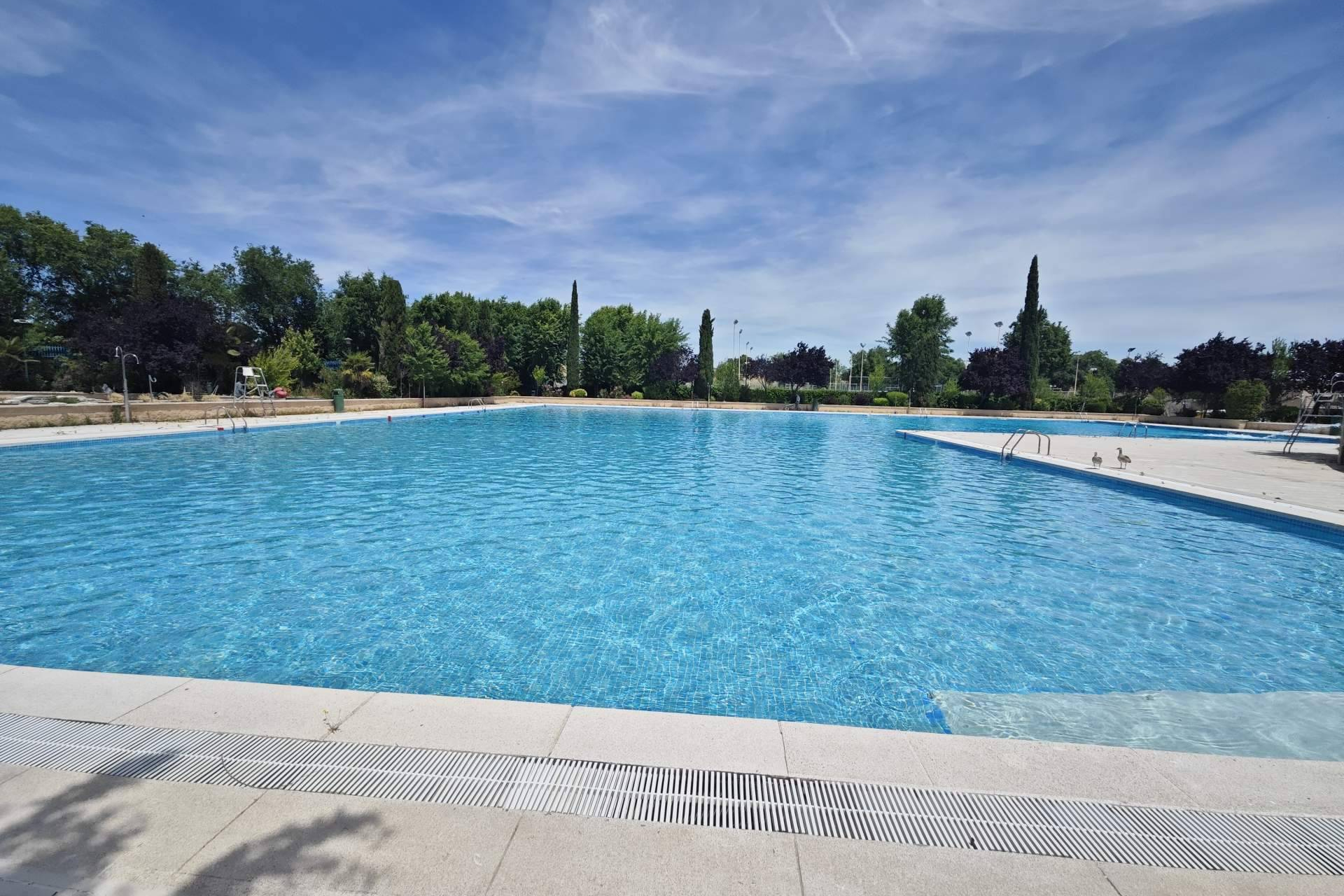 La tecnología de Pool Tiger Europe transforma el tratamiento del agua en piscinas públicas