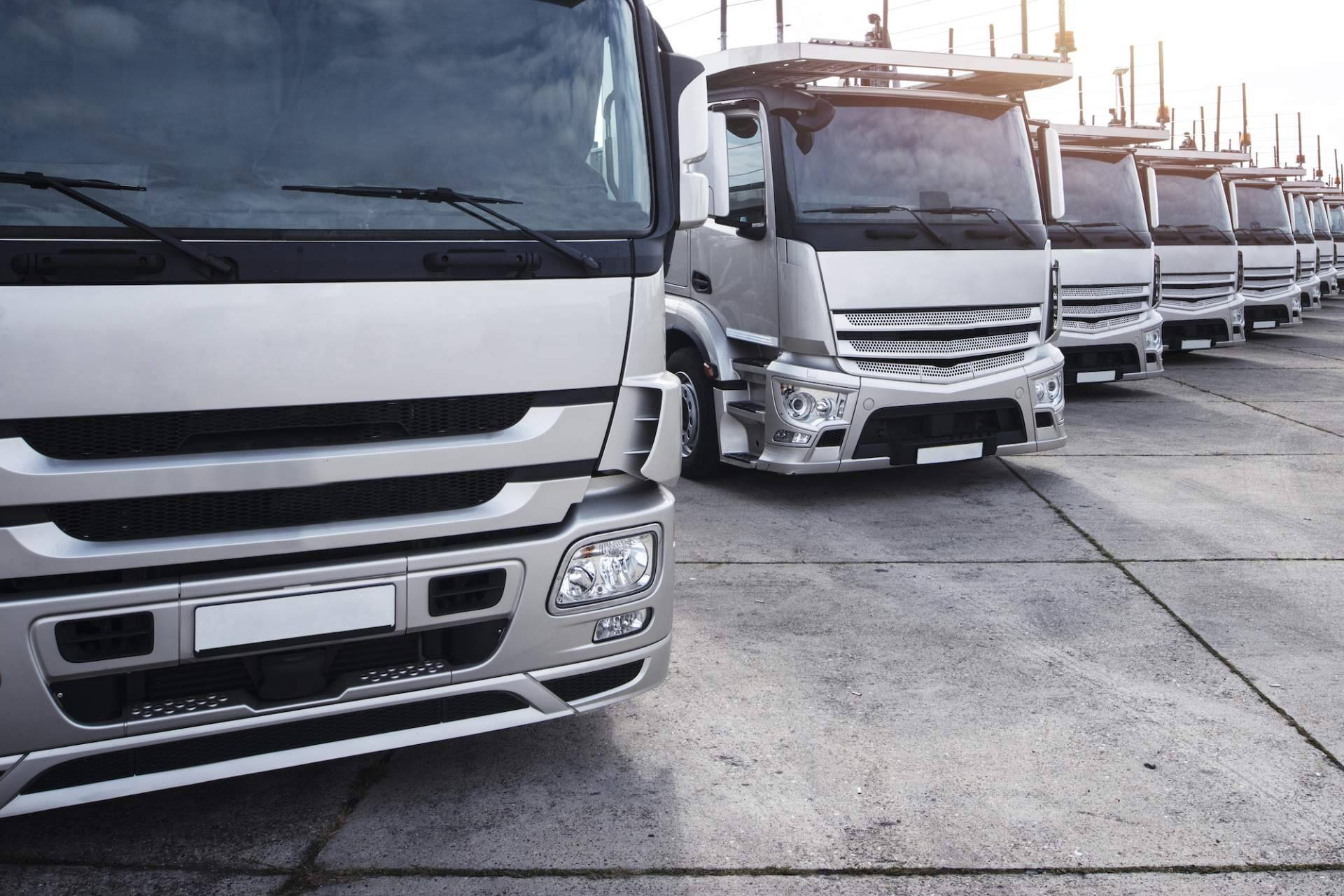 Easy Trans refuerza el transporte terrestre de mercancías con soluciones logísticas integrales