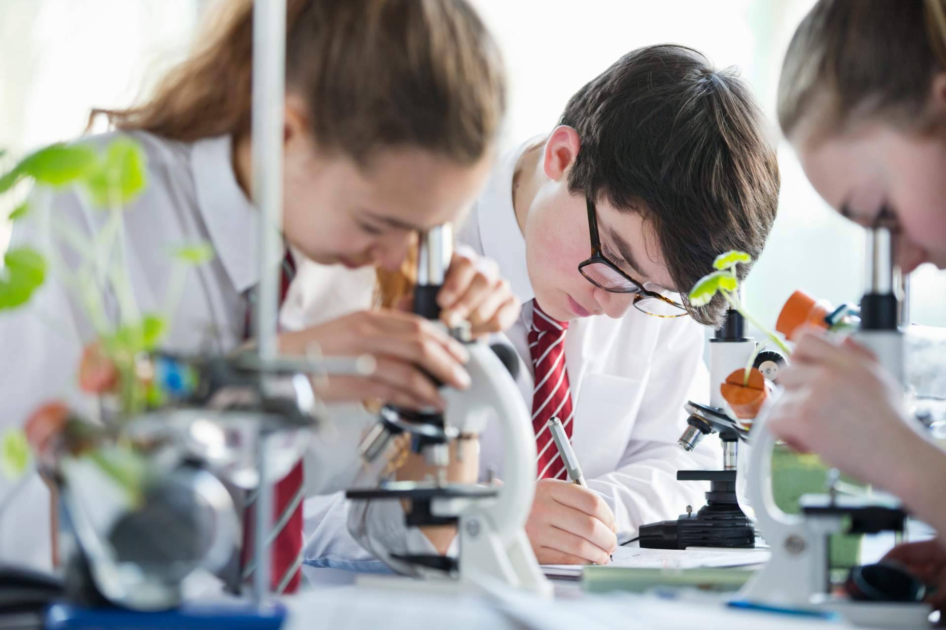 Formación profesional y empleabilidad, Esto No Es Noticia identifica las claves del modelo formativo actual