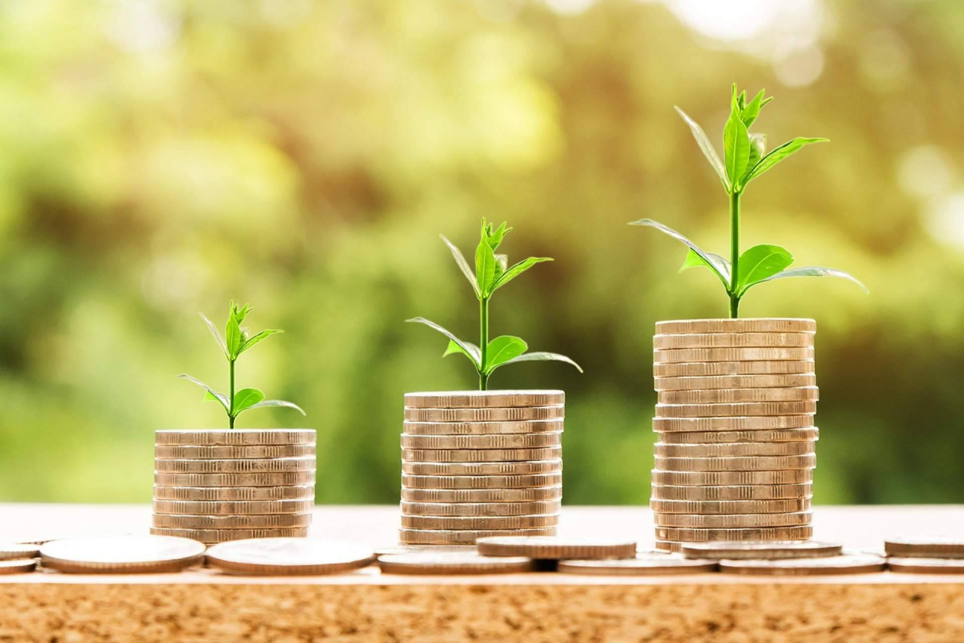 El impacto real de la educación financiera en la vida cotidiana