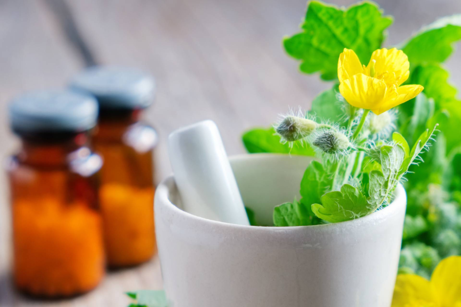 Curso de Naturopatía en ISED; modalidad presencial o homeclass en Pamplona, Madrid y Bilbao