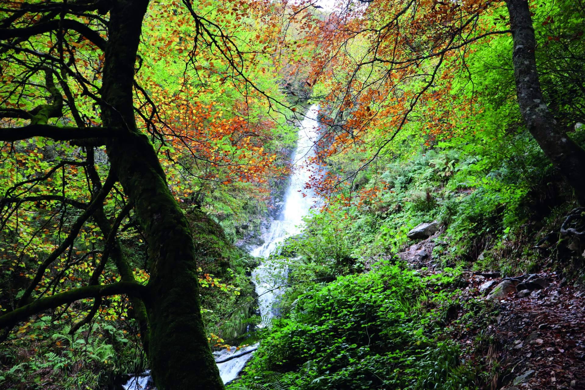 Naturaleza, historia y aventura en el corazón de Asturias