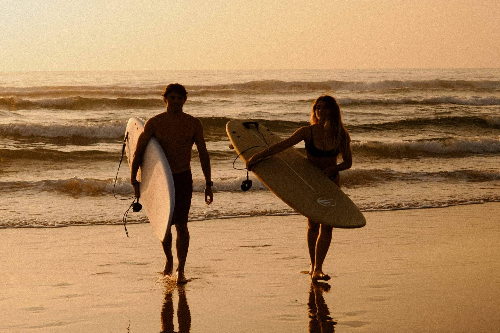 Acceso Prioritario Fly en Black Friday con stock completo de tablas de surf