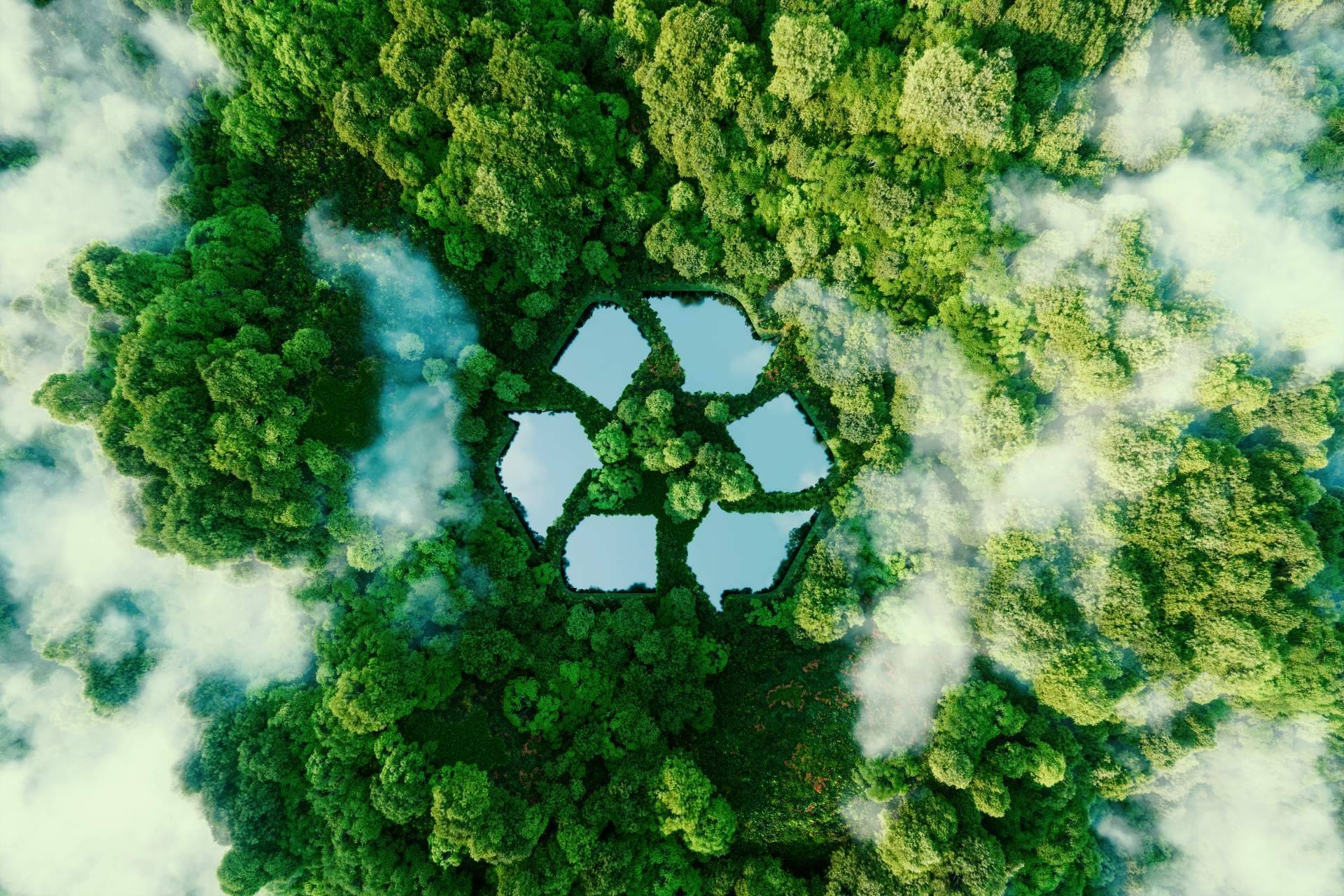 Reciclaje RAEE profesional para empresas; ACS Recycling centraliza la gestión integral en Barcelona