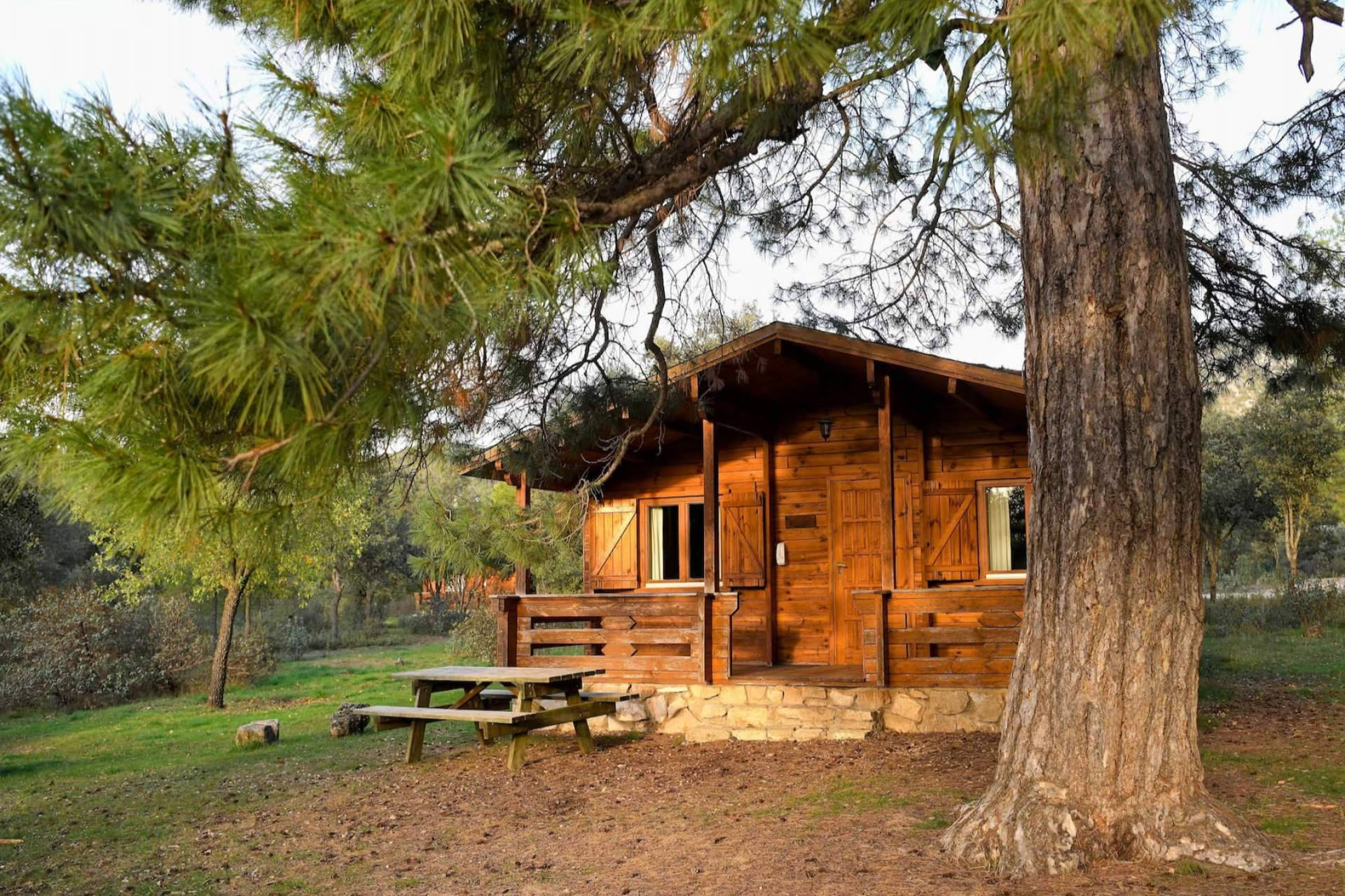 Cabañas Llano de los Conejos lanza sus bonos regalo; una experiencia rural para acertar seguro
