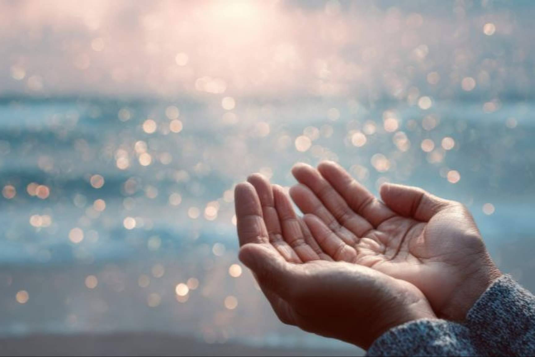 El modelo integral de Beatriz de Vicente Jiménez une psicología y salud celular para potenciar el bienestar
