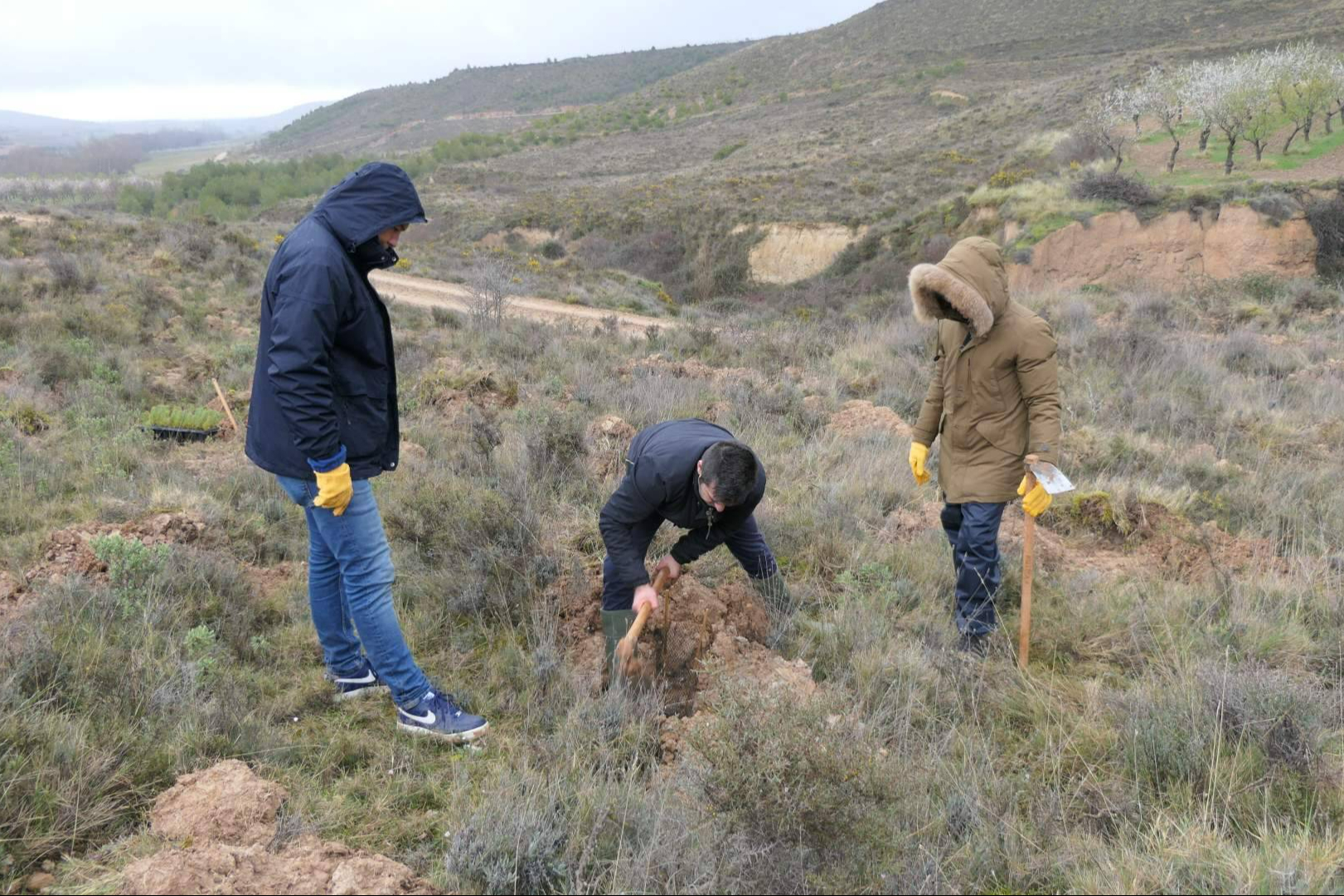 Empresas que reforestan; CO2 Gestión desarrolla proyectos de absorción de carbono mediante bosques corporativos