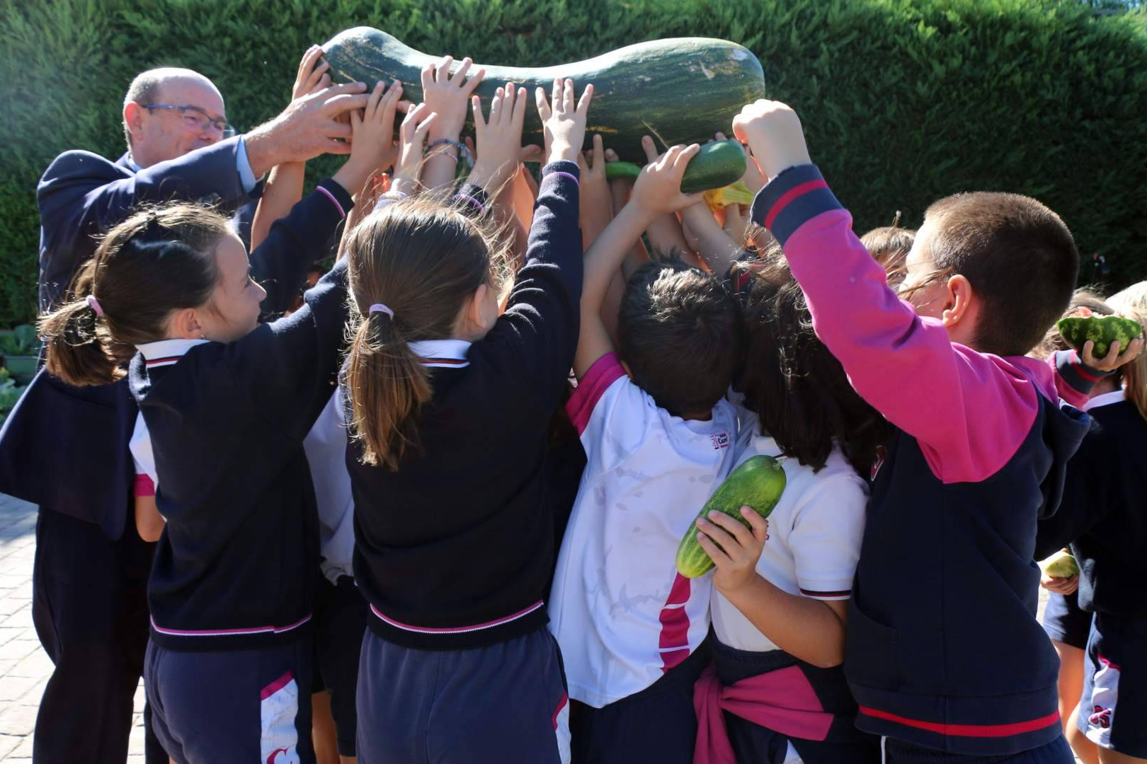 Casvi Boadilla refuerza su apuesta por la sostenibilidad con Ecoescuelas y proyectos ambientales liderados