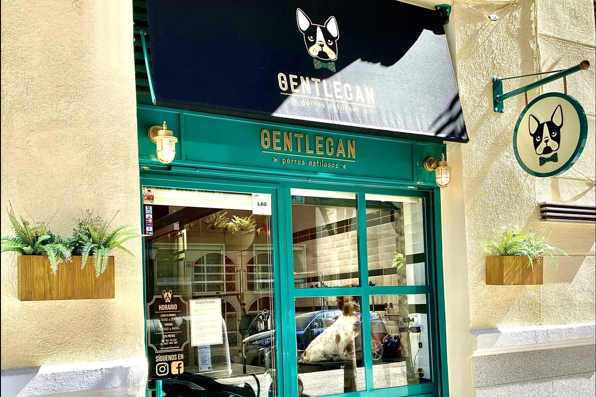 Gentlecan resalta como peluquería canina en Madrid por su enfoque en estilismo y atención individualizada