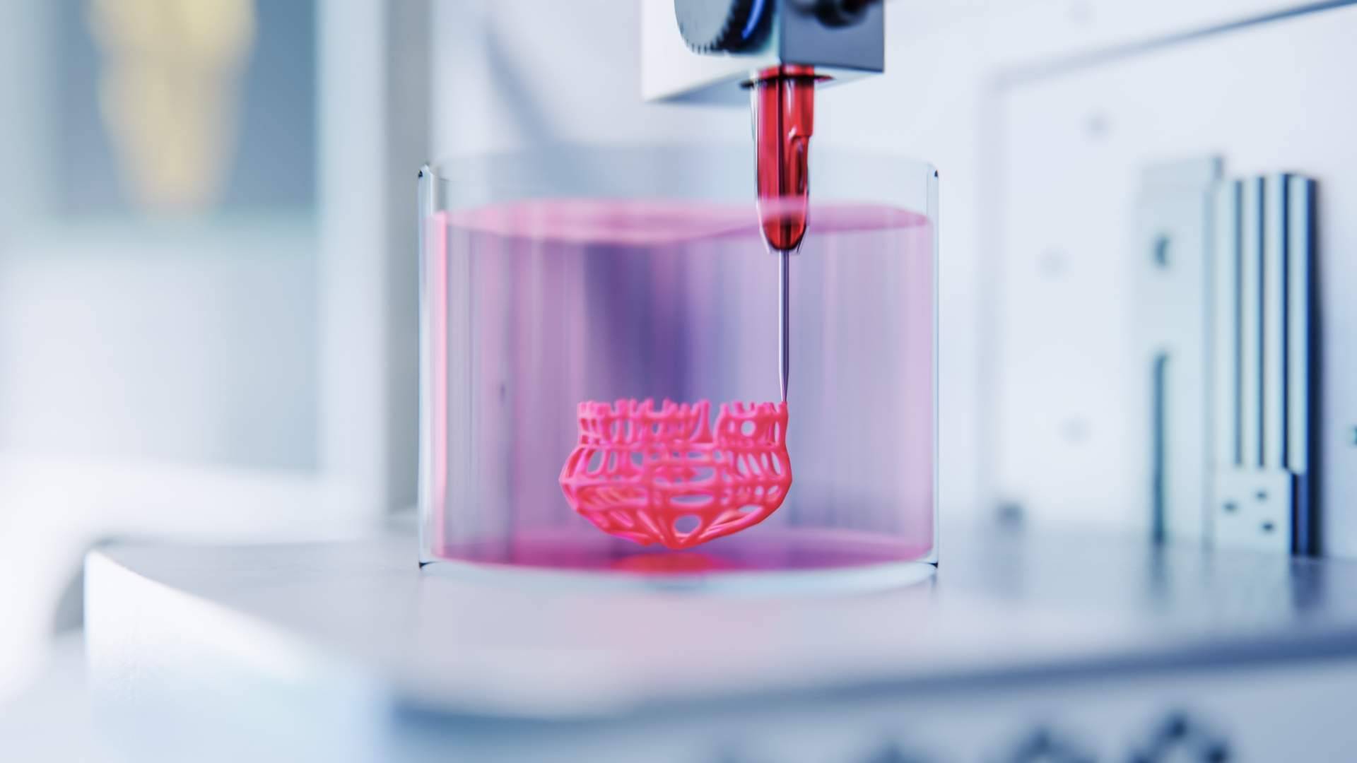 3D Biotech traslada la ingeniería de materiales al quirófano con su apuesta por la bioimpresión
