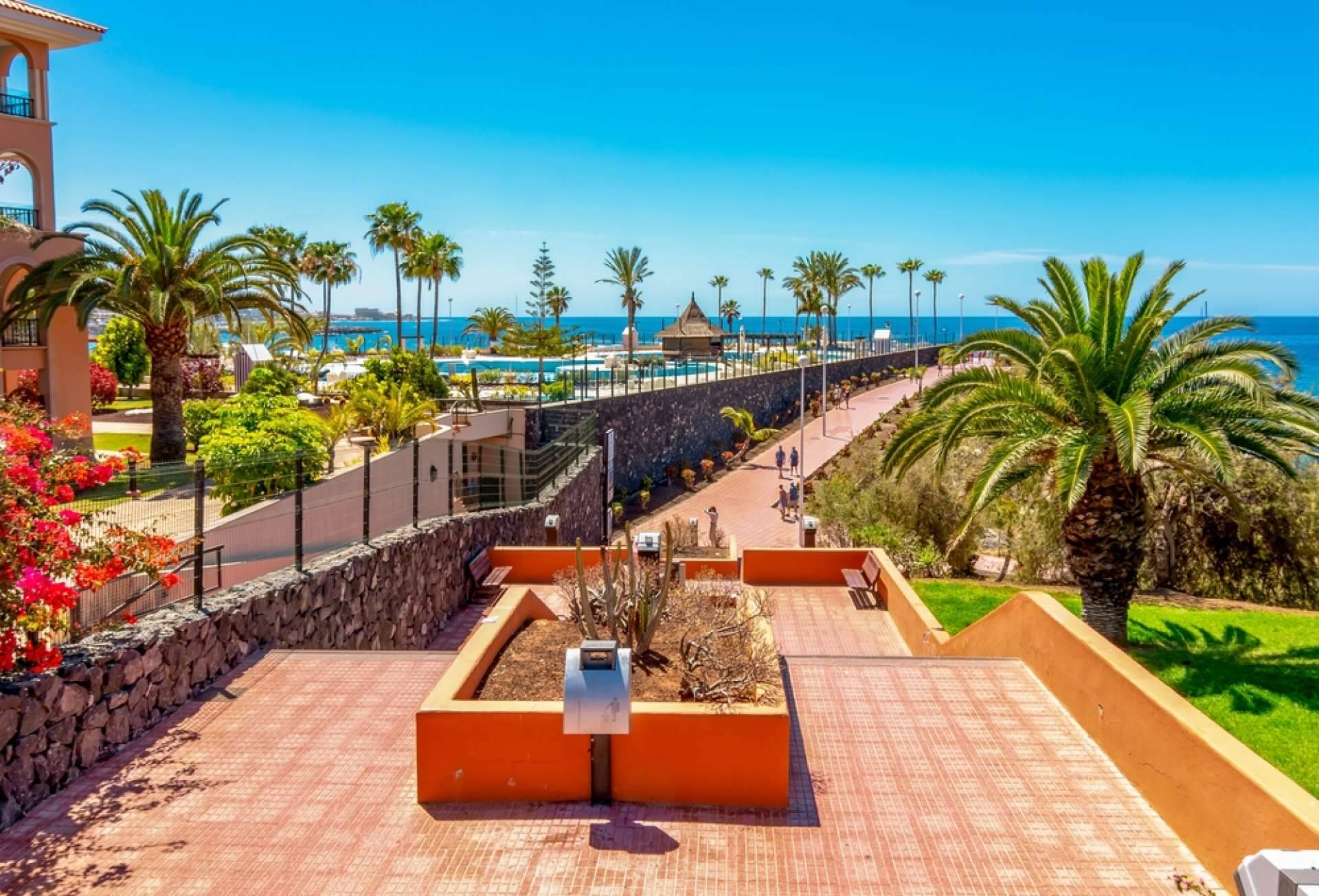 Love Your Home apuesta por ser una inmobiliaria de confianza en Tenerife