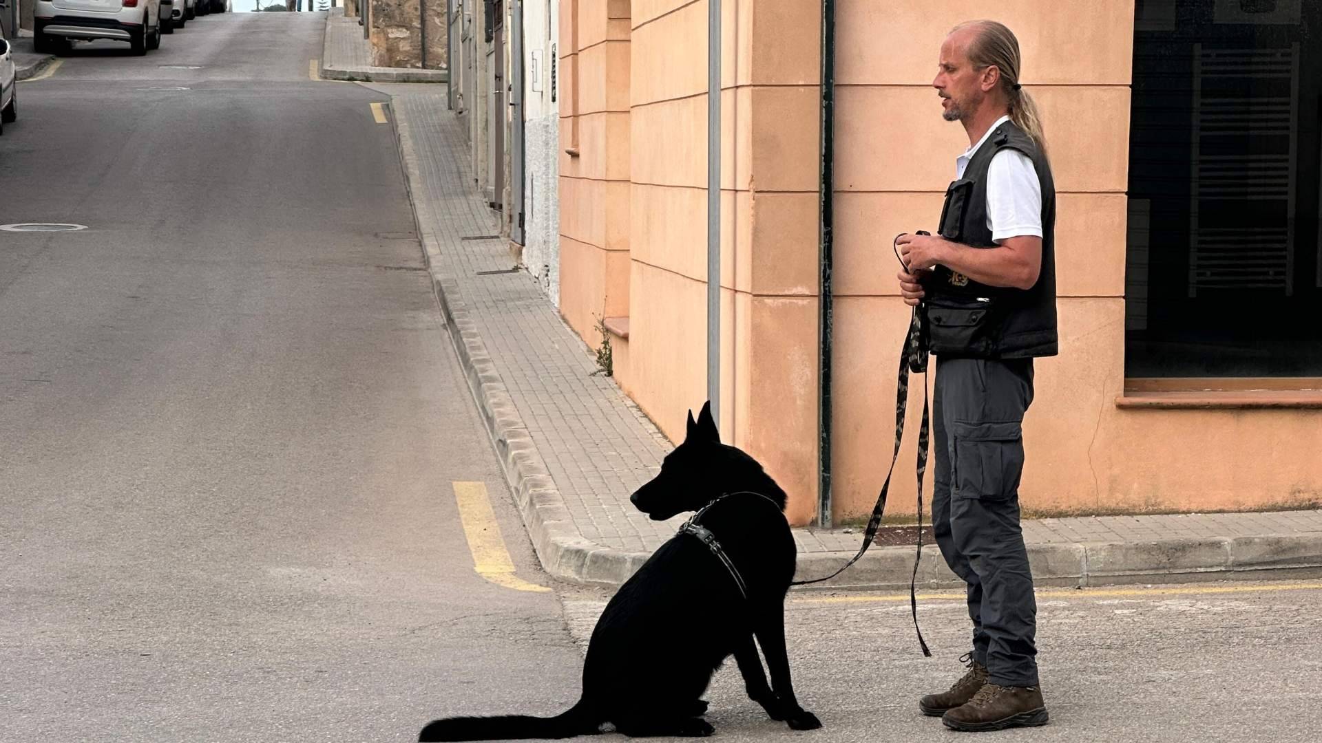 El impacto de internet y las redes sociales en la resolución de problemas de comportamiento en perros