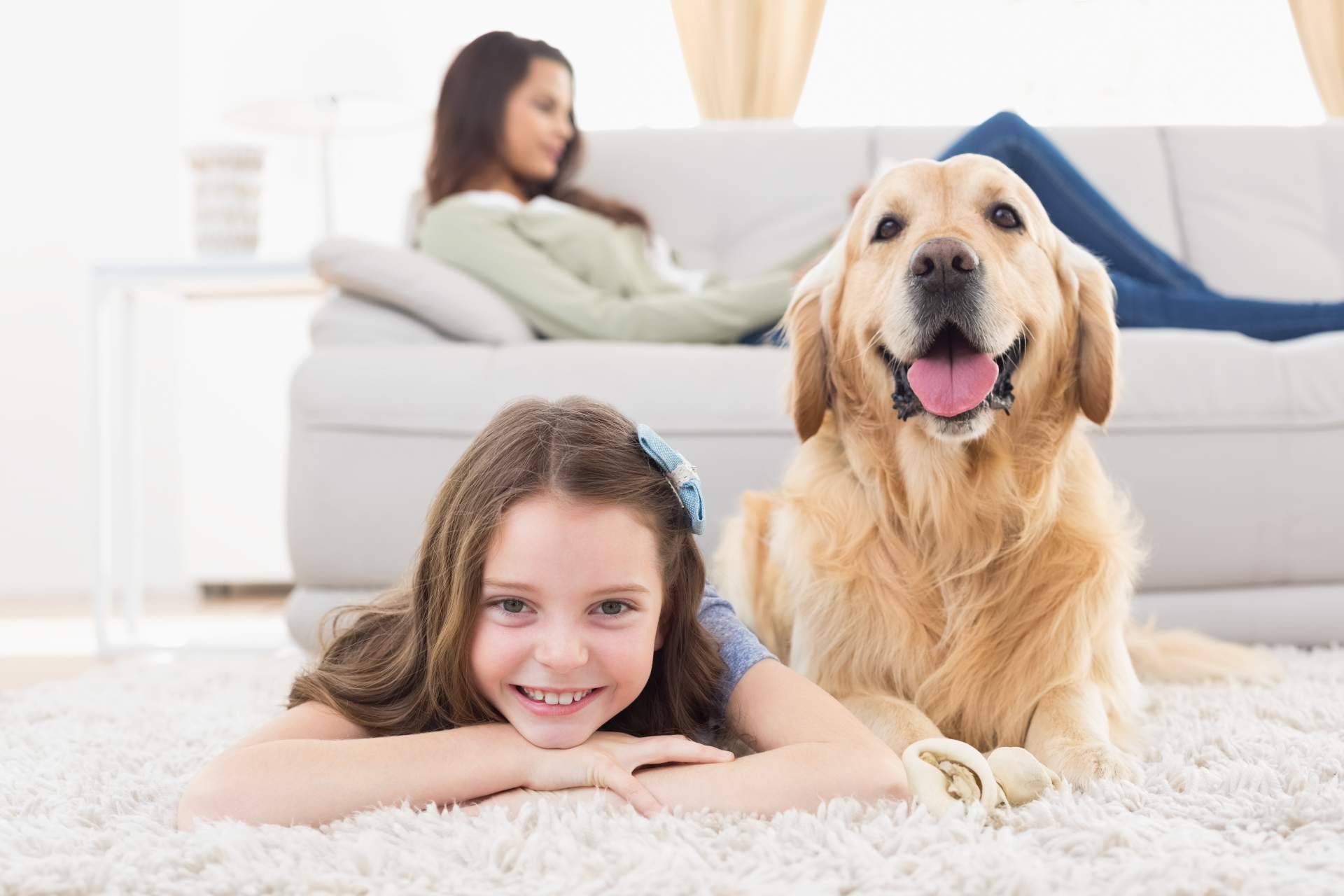 Mutuarisk lanza una campaña para promover el bienestar animal y regala una placa inteligente con la contratación de su seguro de mascotas