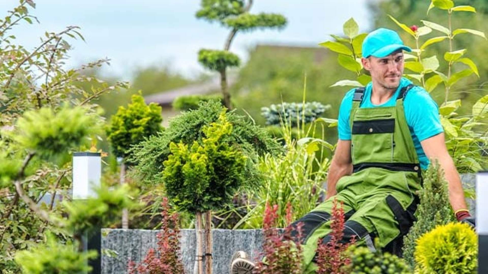 Grupo Jarpiscom refuerza su liderazgo en limpieza, jardinería y mantenimiento de piscinas en el noroeste de Madrid