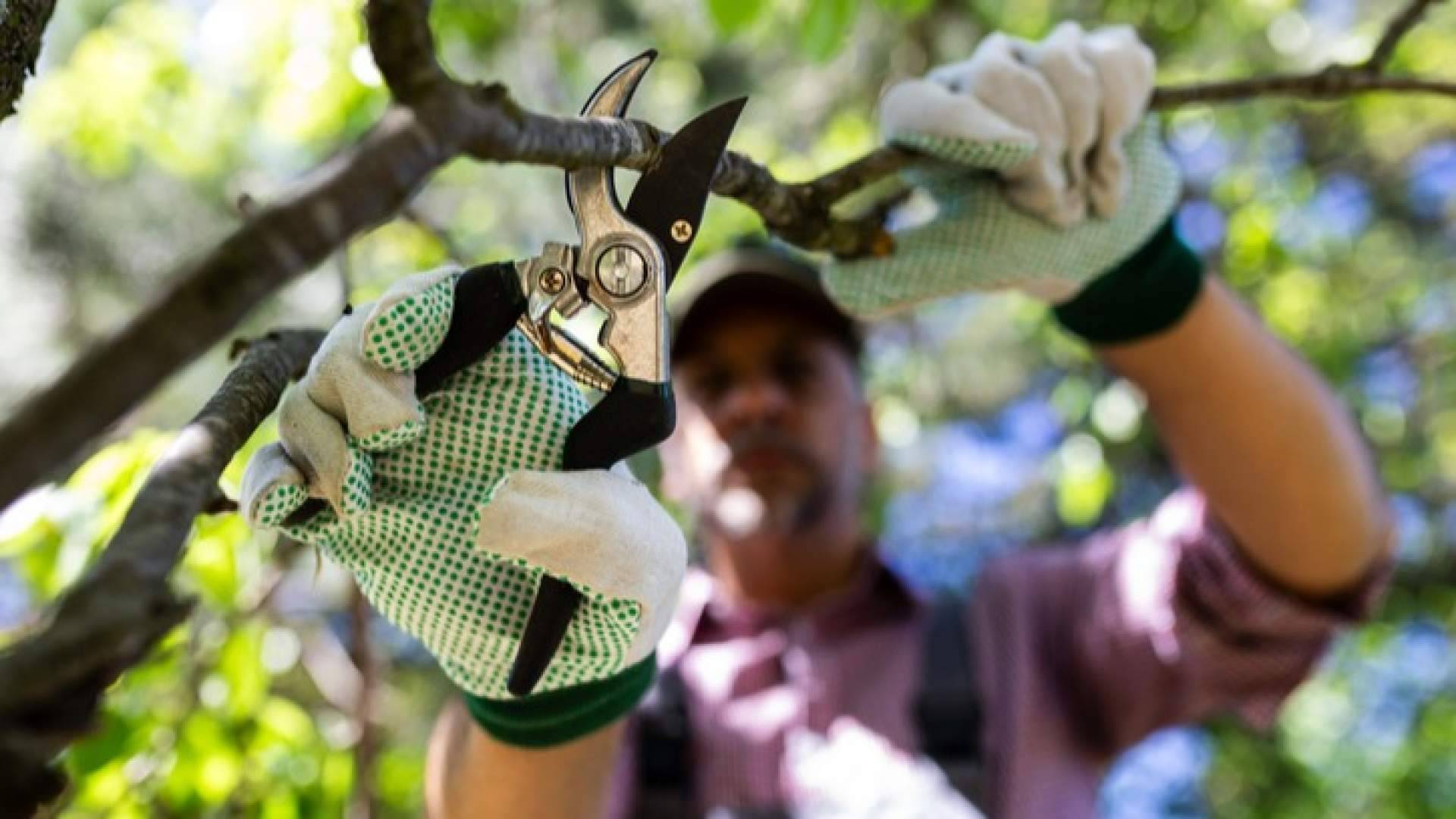 El valor de las herramientas agrícolas en la productividad y sostenibilidad del campo