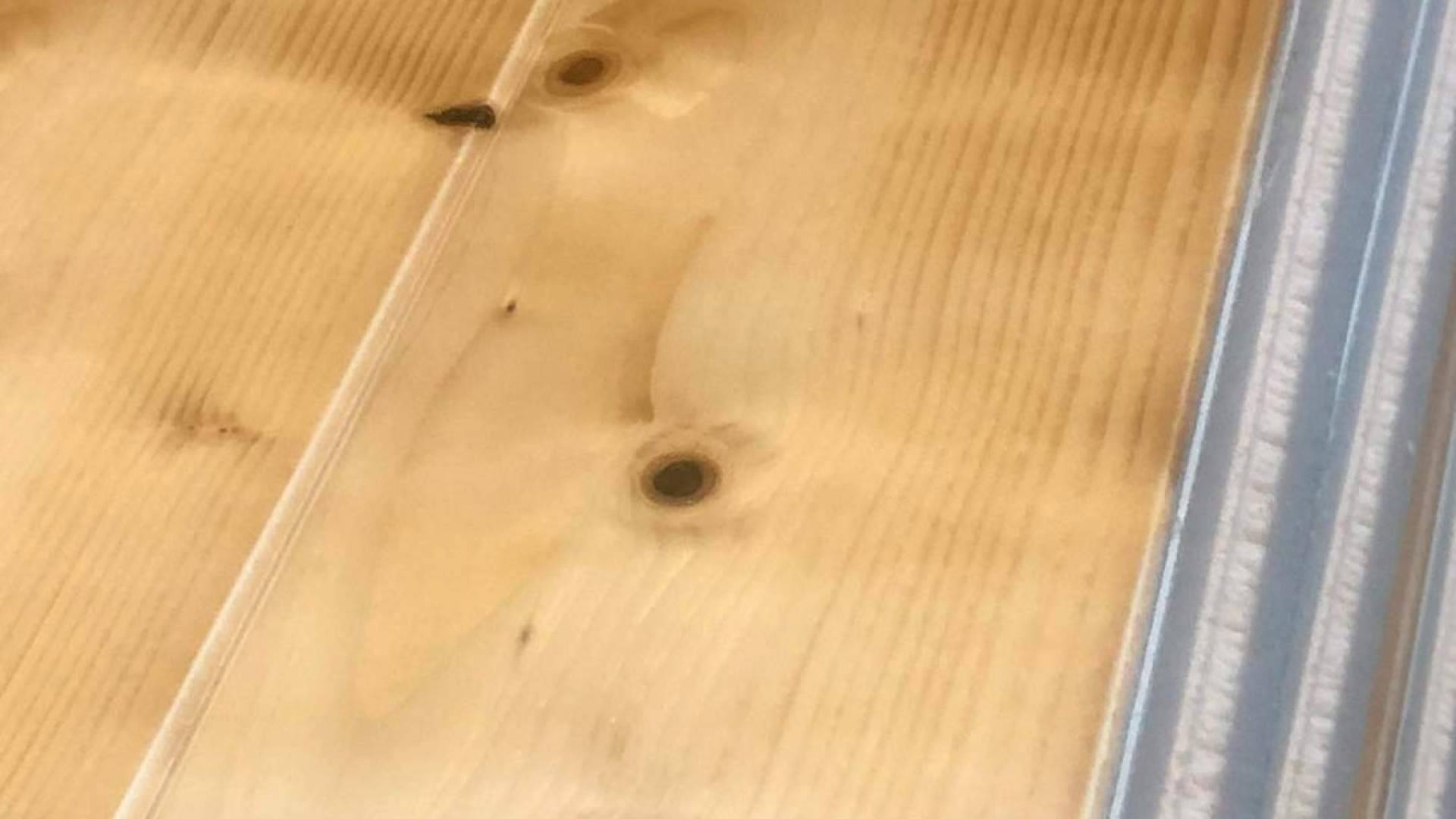 Panel sándwich de madera, diseño, personalización y eficiencia para techos con personalidad