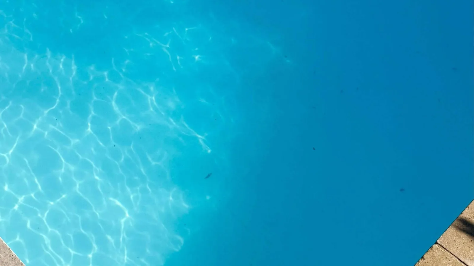 ¿Qué mantenimiento necesita una piscina en pleno verano?