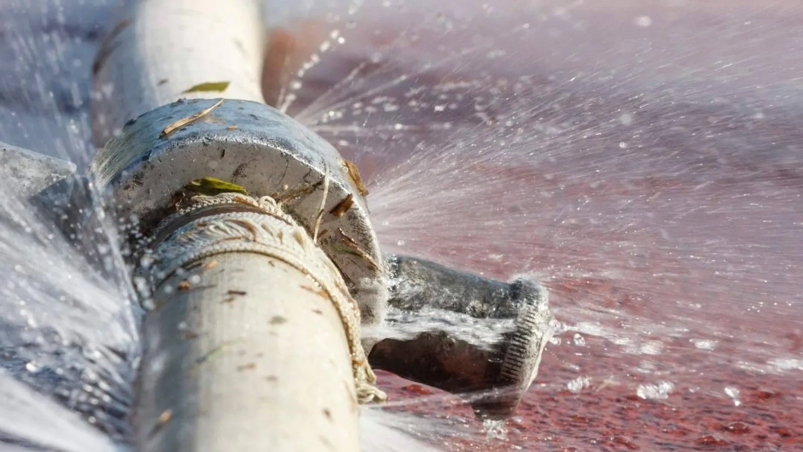 Fugas de agua en sistemas de riego; cómo detectarlas y ahorrar agua en verano